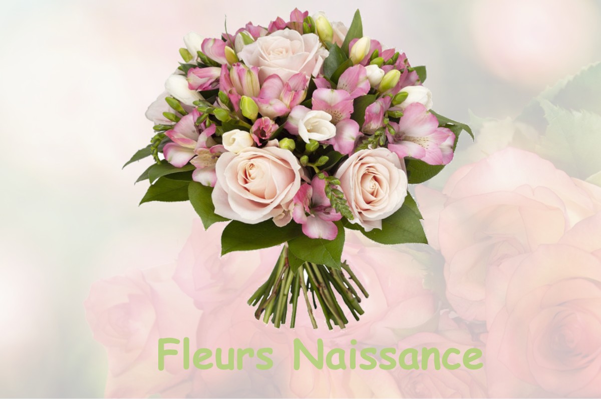 fleurs naissance PITHIVIERS